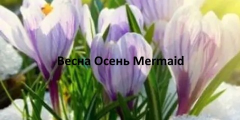 Mermaid - кожаная женская обувь Весна Осень