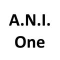 A.N.I.One