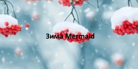 Mermaid - кожаная женская обувь Зима